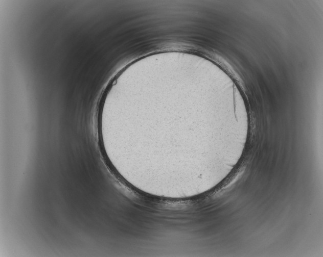 X0000111600843200908271007