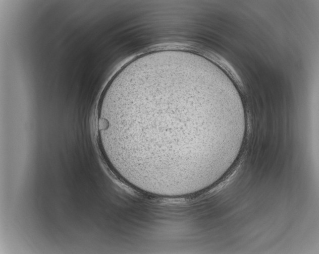 X0000111600844200908271007