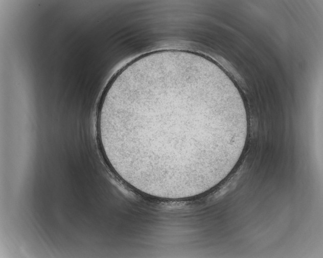 X0000111600846200908271007