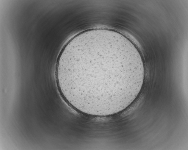 X0000111600847200908271007