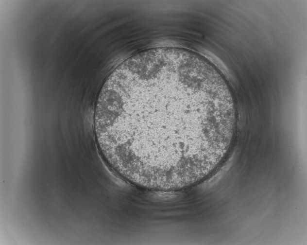 X0000111600849200908271007