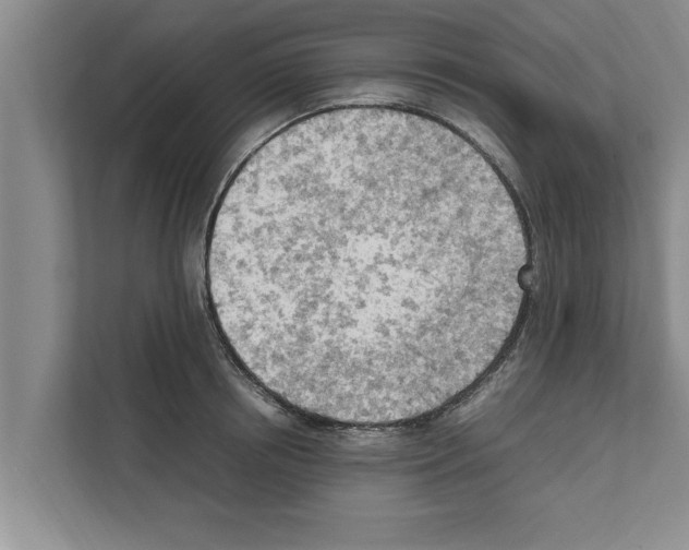 X0000111600850200908271007