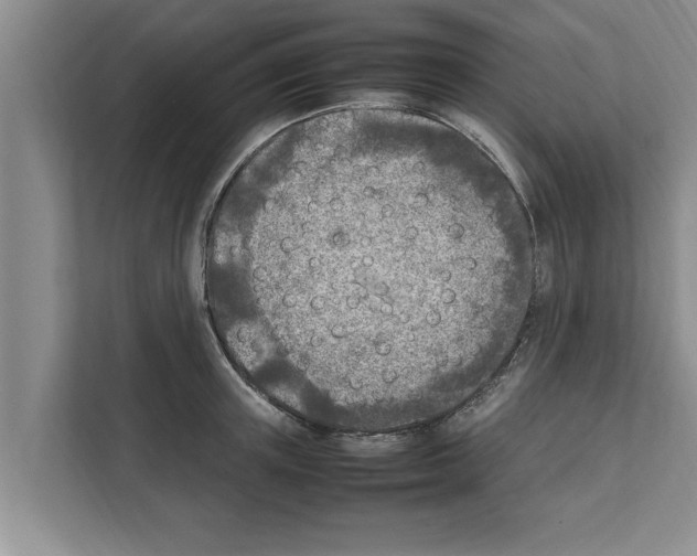 X0000111600851200908271007