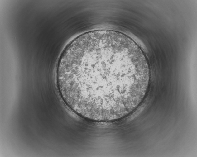 X0000111600854200908271007