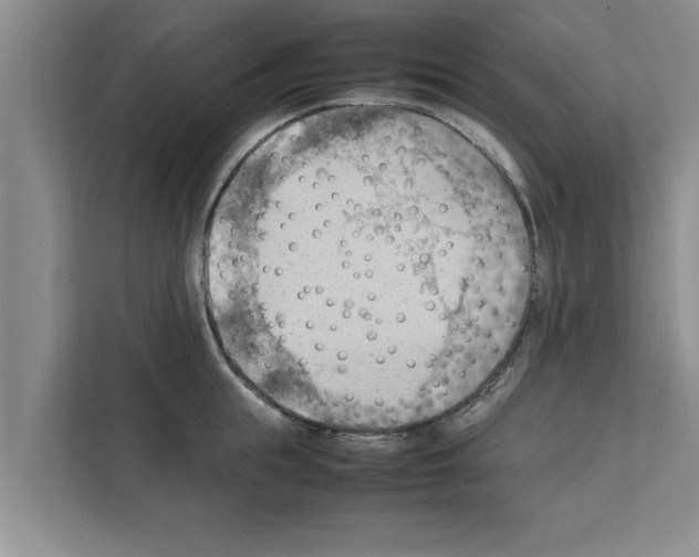 X0000111600855200908271007