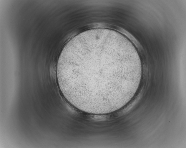 X0000111600857200908271007