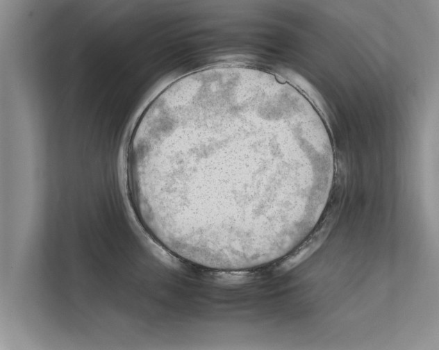 X0000111600859200908271007