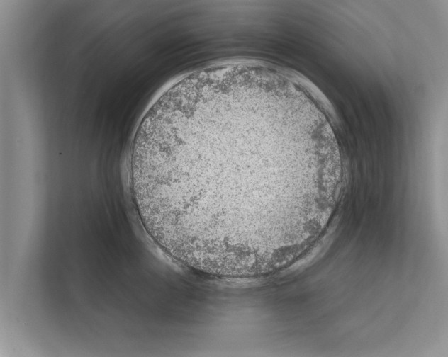 X0000111600860200908271007