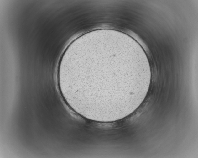 X0000111600861200908271007