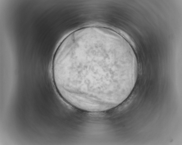 X0000111600863200908271007