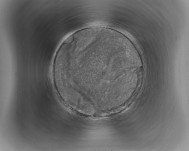 X0000111600864200908271007
