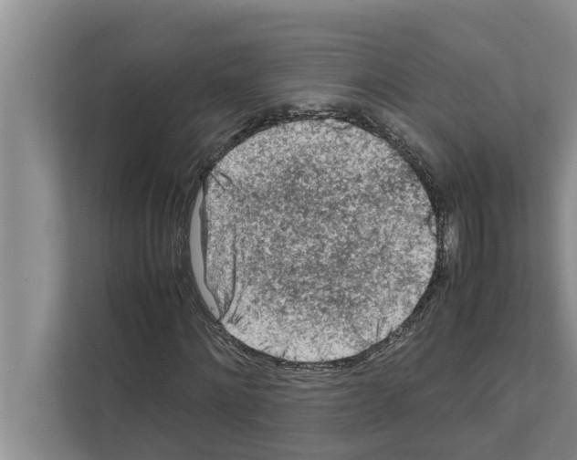 X0000111600868200908271007