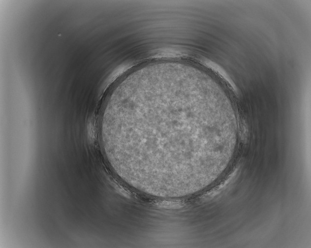 X0000111600874200908271007