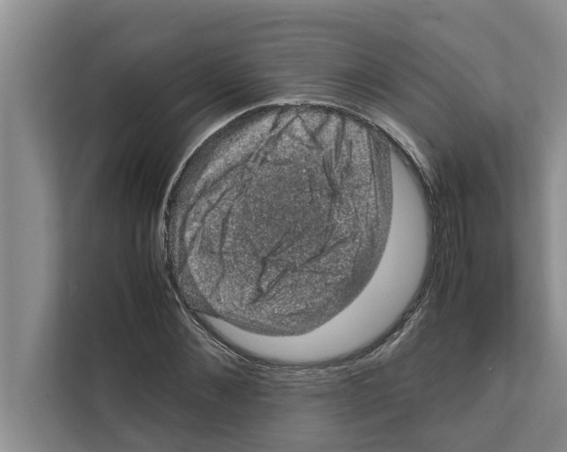 X0000111600876200908271007