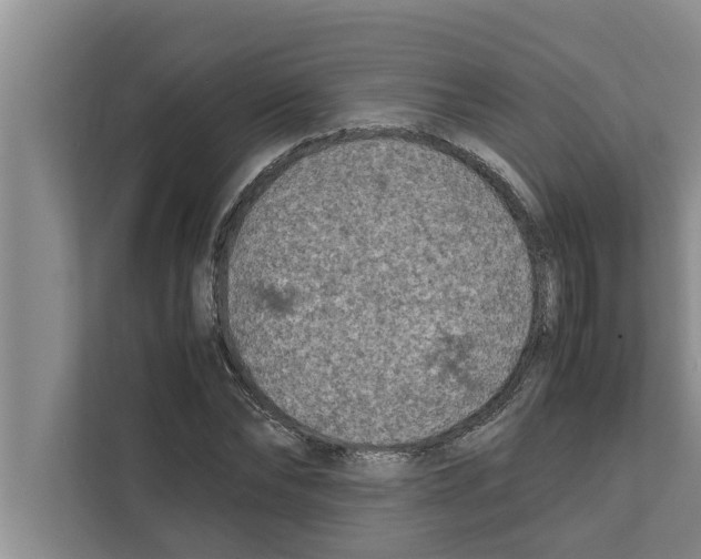 X0000111600878200908271007