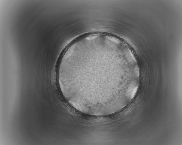 X0000111600879200908271006