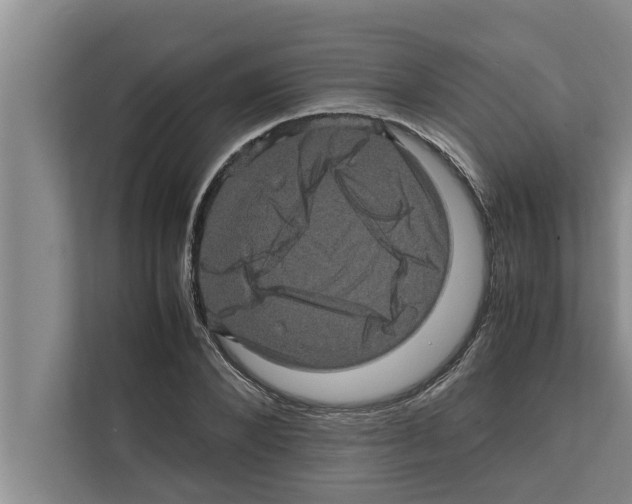 X0000111600880200908271006