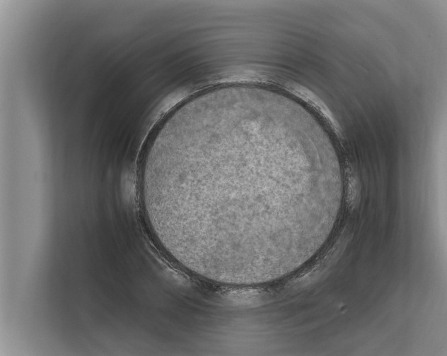 X0000111600882200908271006