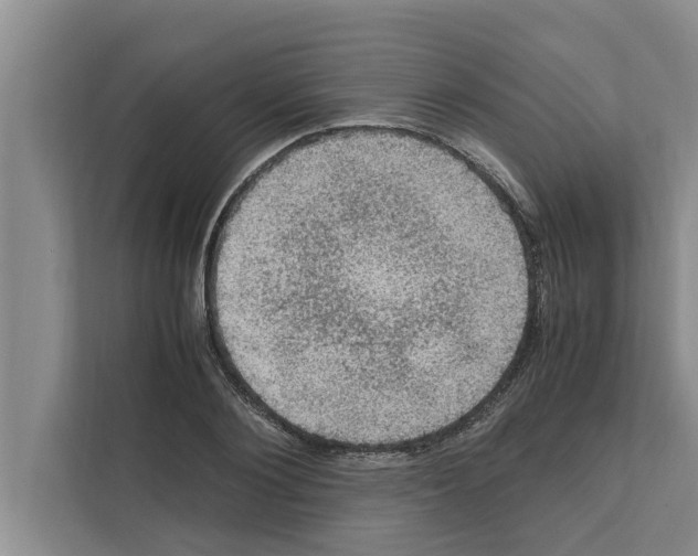 X0000111600884200908271006