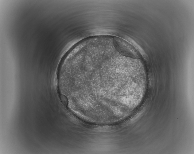 X0000111600885200908271006