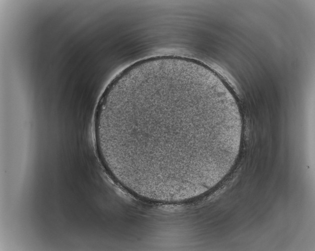 X0000111600888200908271006