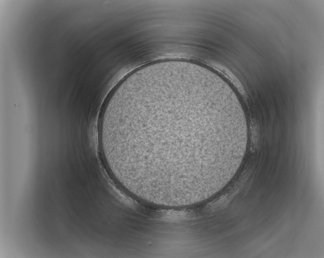 X0000111600890200908271006