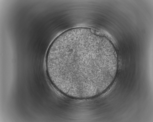 X0000111600892200908271006