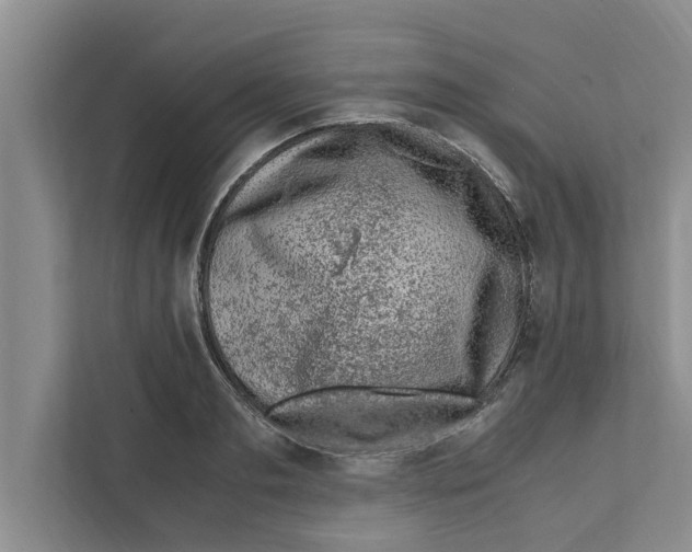 X0000111600893200908271006