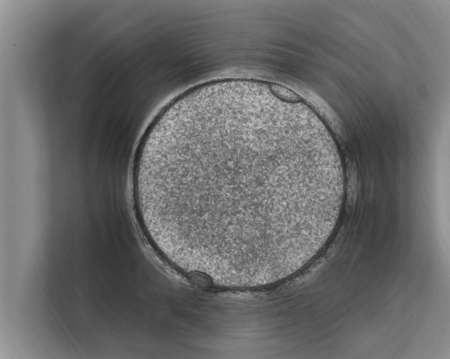 X0000111600896200908271006
