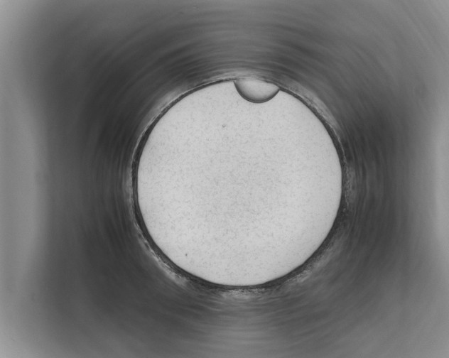 X0000111600898200908271006