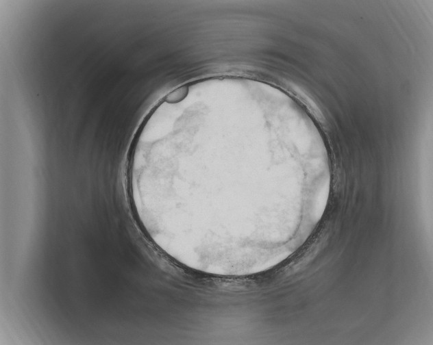 X0000111600899200908271006