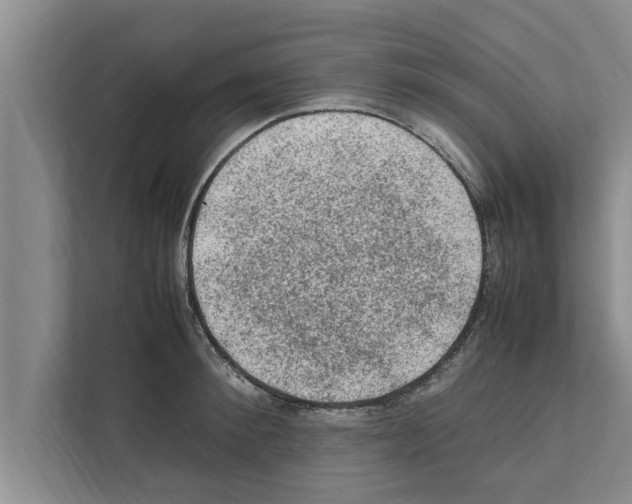 X0000111600900200908271006