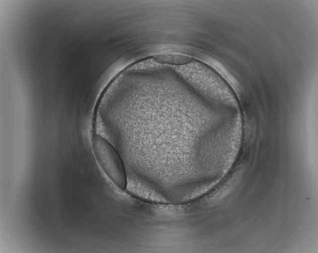X0000111600901200908271006