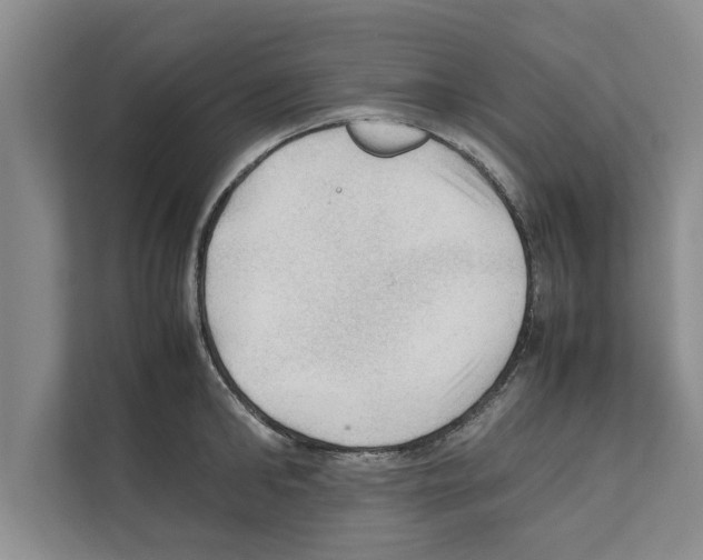 X0000111600902200908271006