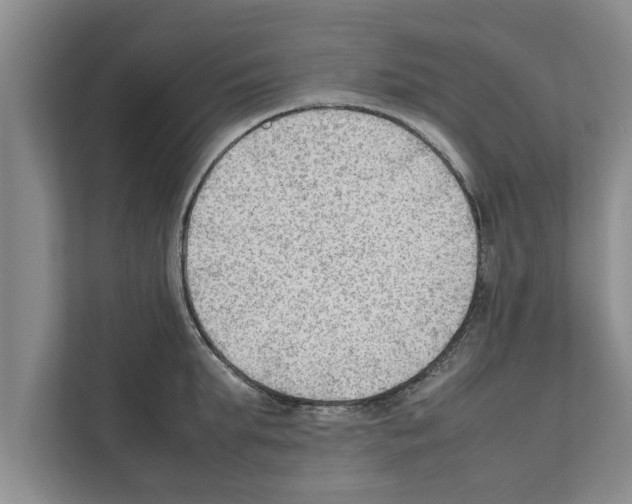X0000111600903200908271006
