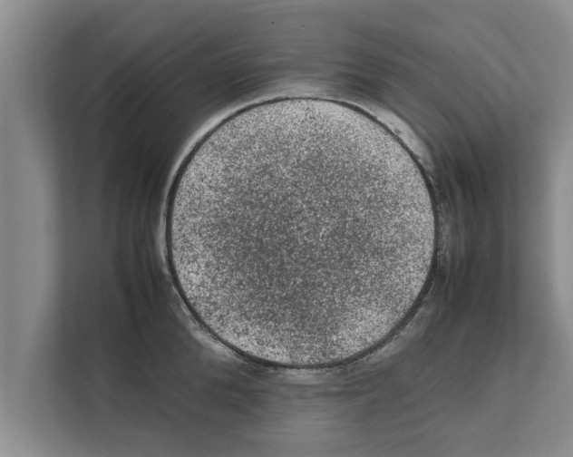 X0000111600904200908271006