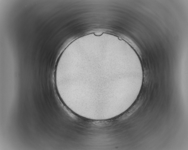 X0000111600906200908271006
