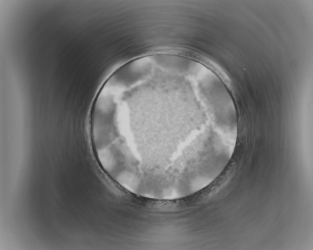 X0000111600907200908271006