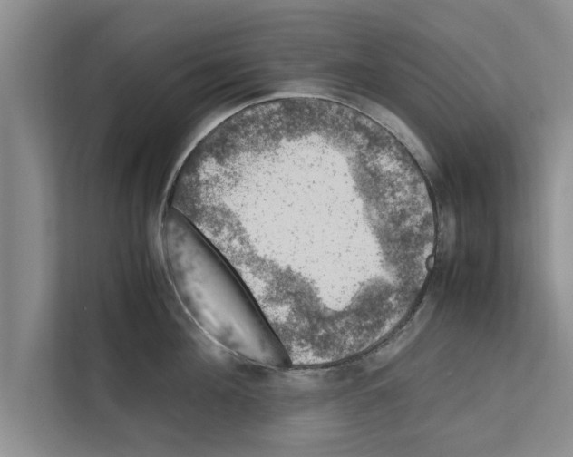 X0000111600908200908271006