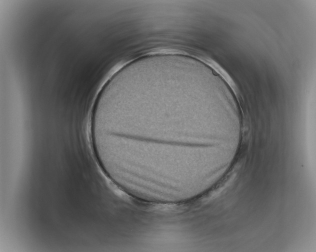 X0000111600909200908271006