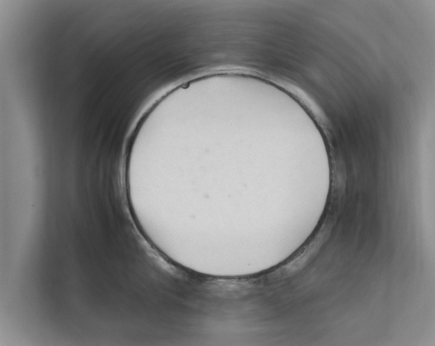 X0000111600910200908271006
