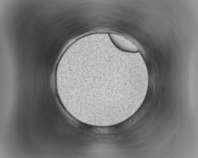 X0000111600911200908271006