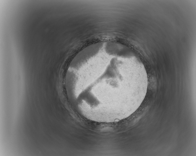 X0000111600913200908271005