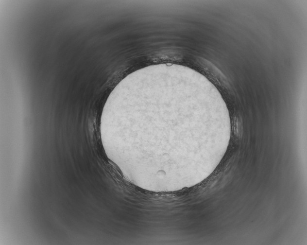 X0000111600915200908271005