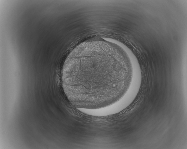 X0000111600916200908271005