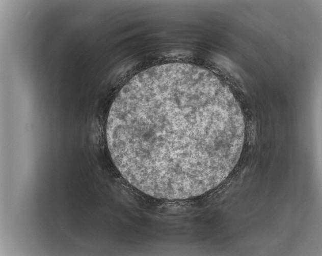 X0000111600917200908271005