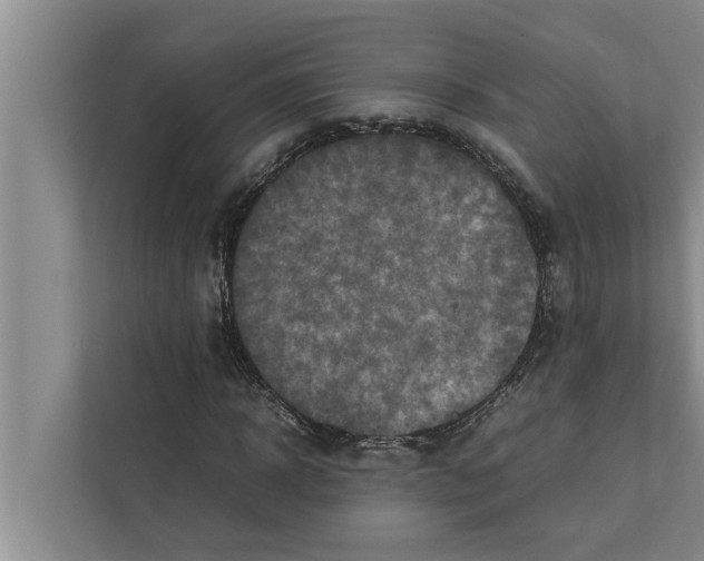 X0000111600918200908271005