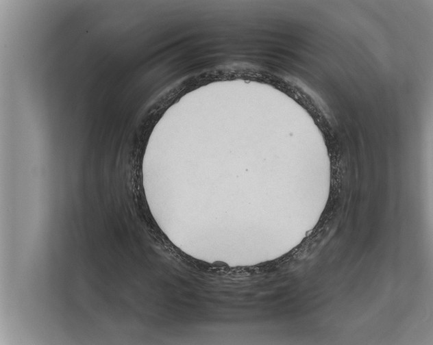 X0000111600919200908271006