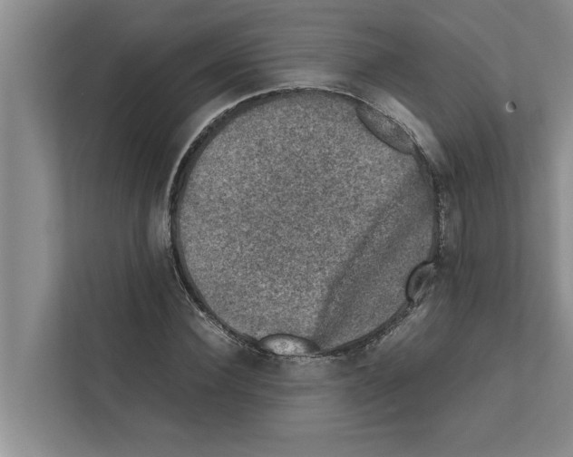 X0000111600924200908271006