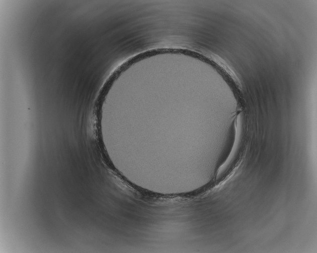 X0000111600926200908271006